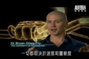 快狐视频 [][][]  